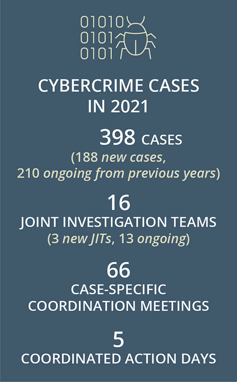 Cybercrime cases