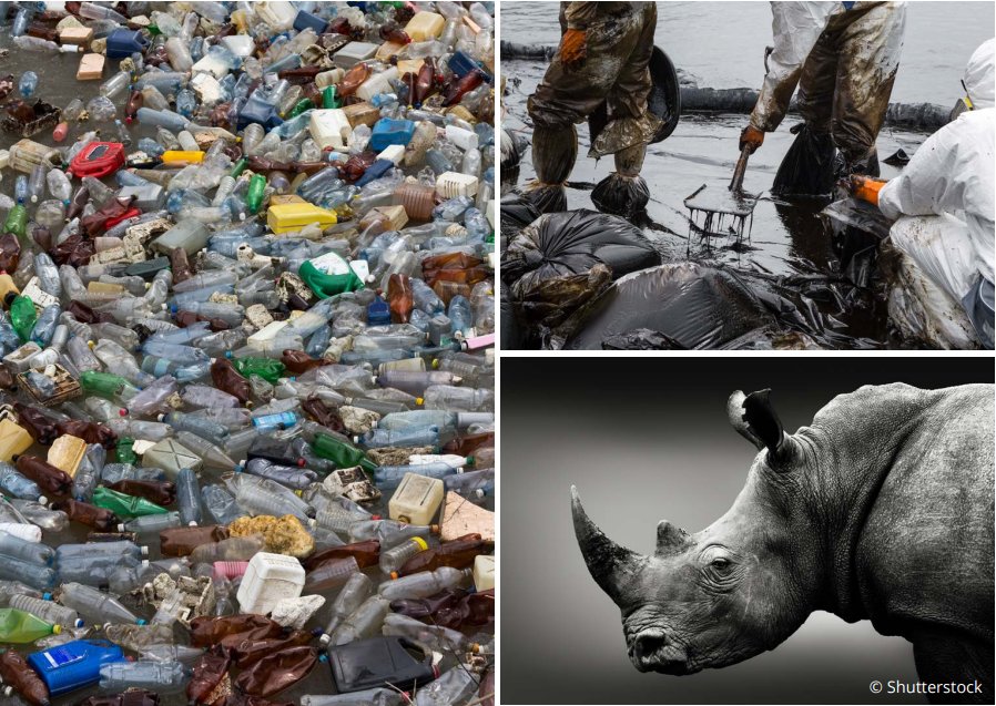 Pictures of polution (plastic bottles, oil) and endangered species.