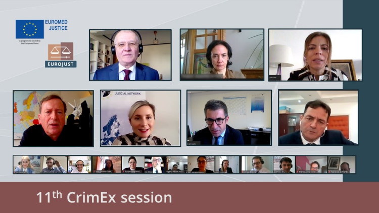 Online meeting of the CrimEx experts