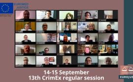 CrimEx meeting (screenshot of participants)